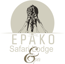 &  Spa  Safari Lodge